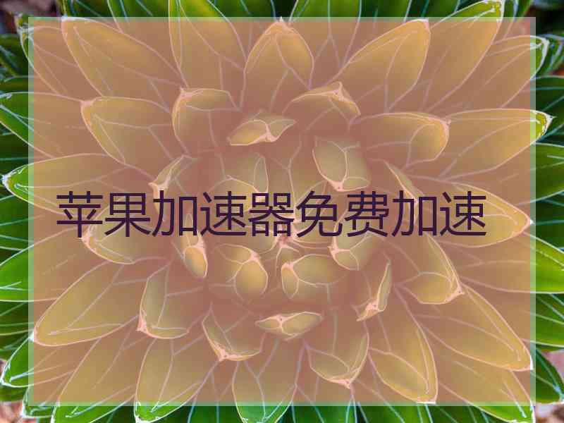 苹果加速器免费加速